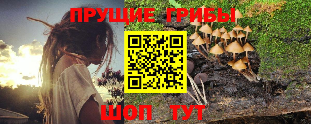 Пермь  Галлюциногенные грибы мухоморы  Вход с VPN  Галлюциногенные грибы ЛСД 