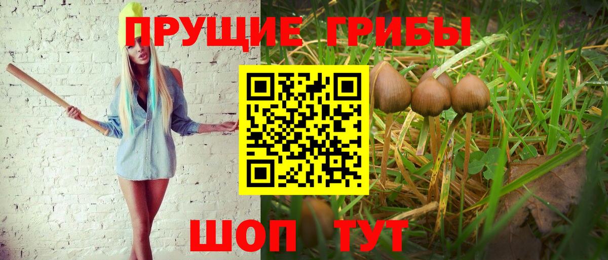 Галлюциногенные грибы MAGIC MUSHROOMS Пермь